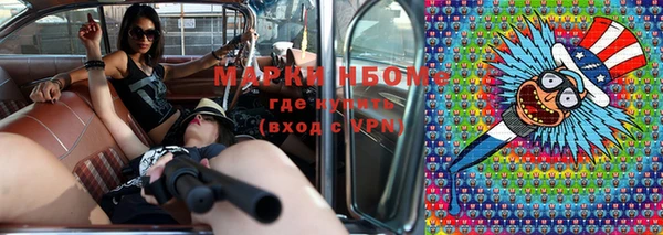 индика Балабаново