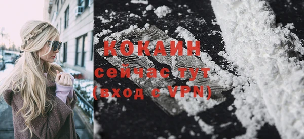 СК Балахна