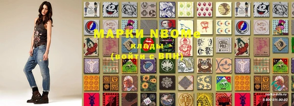 индика Балабаново