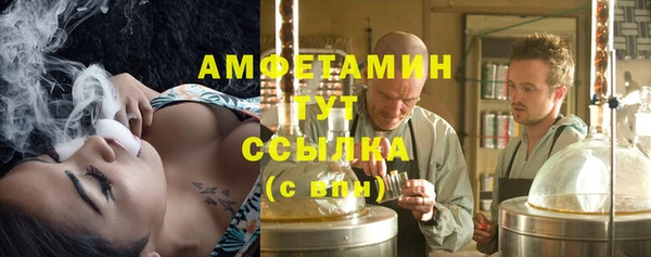 индика Балабаново