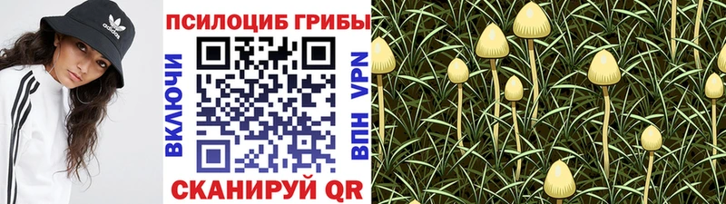 Галлюциногенные грибы Psilocybe  как найти закладки  Реутов 