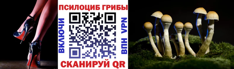 Псилоцибиновые грибы мицелий Реутов